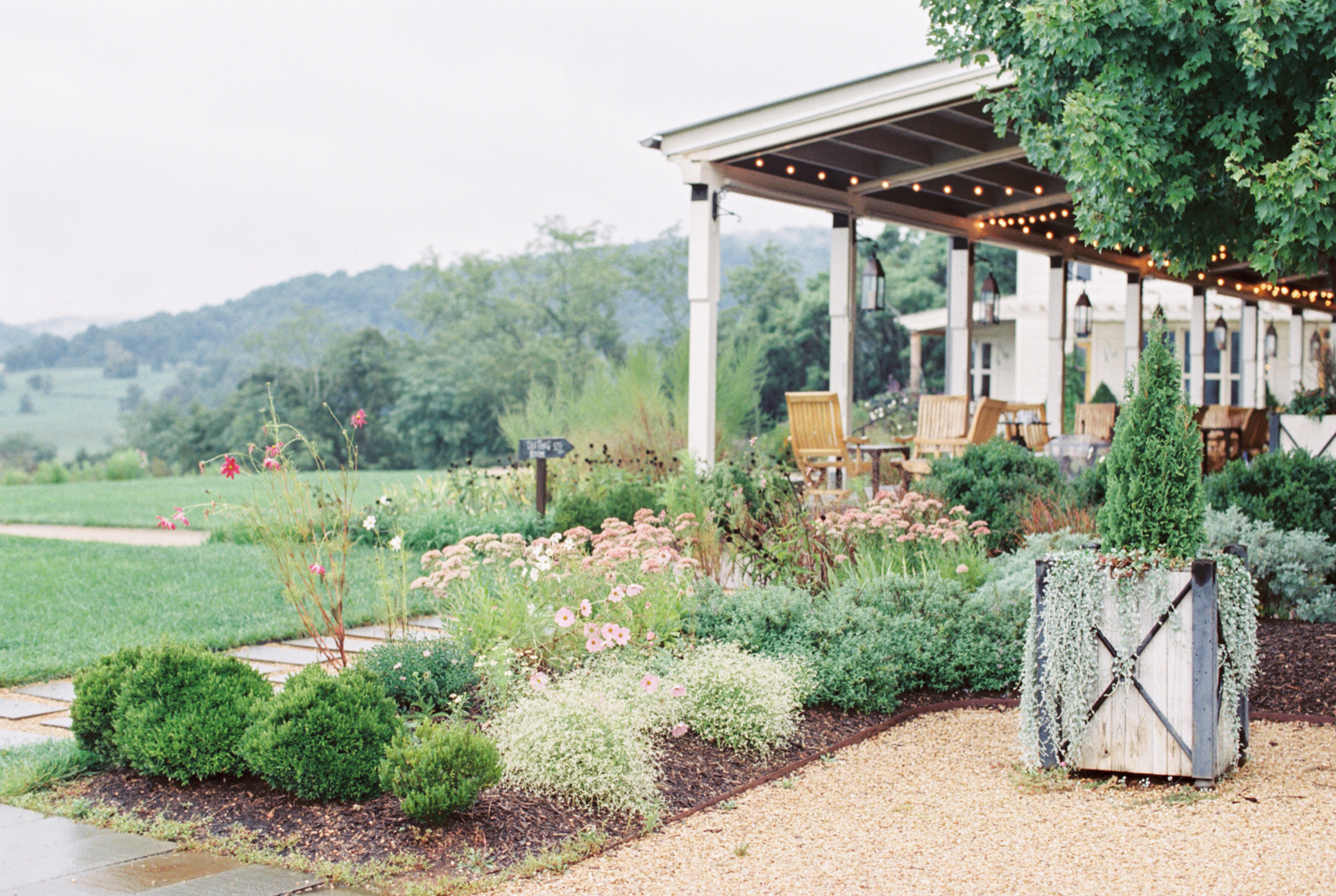 Pippin Hill Wedding Photos | Molly Carr Photography | Lauren Emerson Events | Pippin Hill Farm & Vineyard | Morning in Charlottesville 