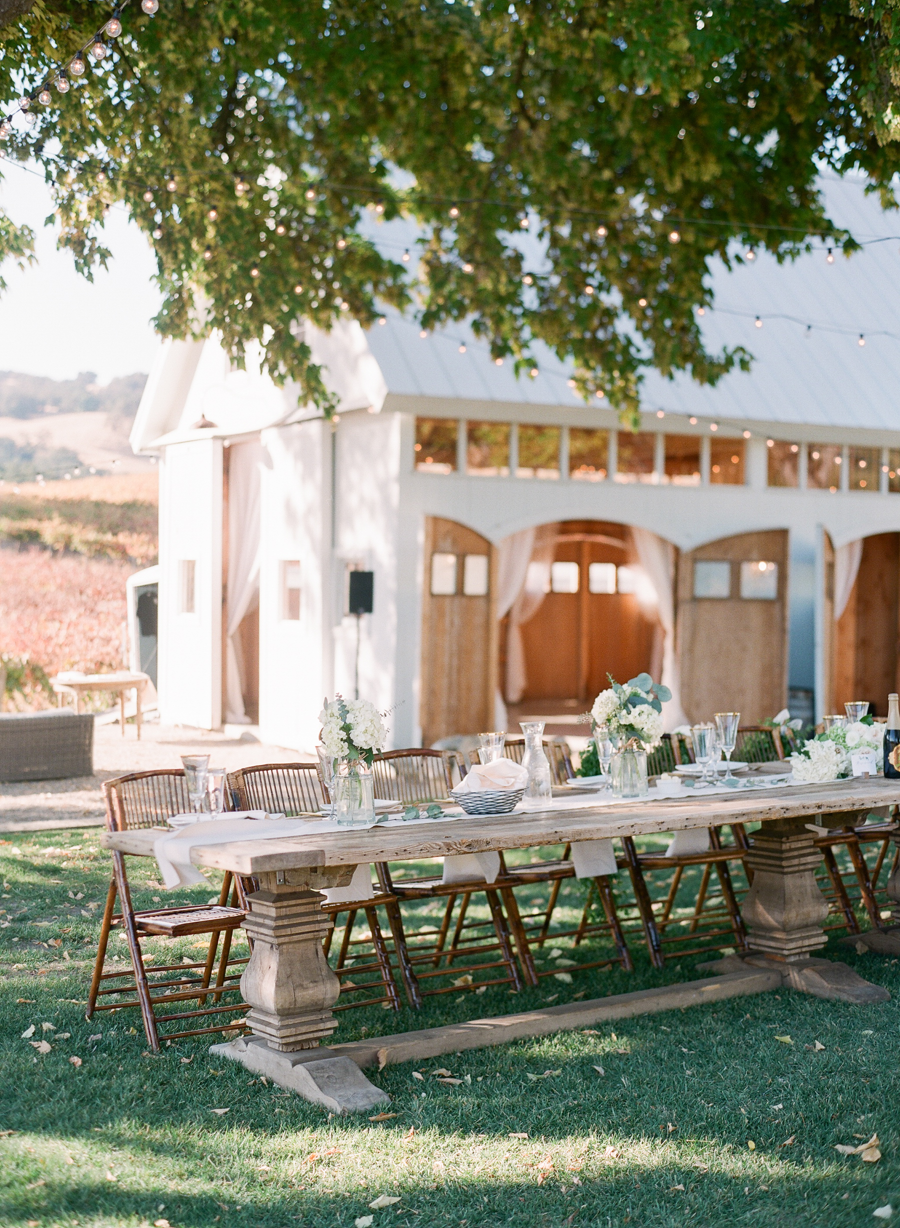 Hammersky vineyards wedding photographer | Wine country wedding | Paso Robles wedding photographer | California film photographer | Napa wedding photographer | Provence wedding photographer | Molly Carr