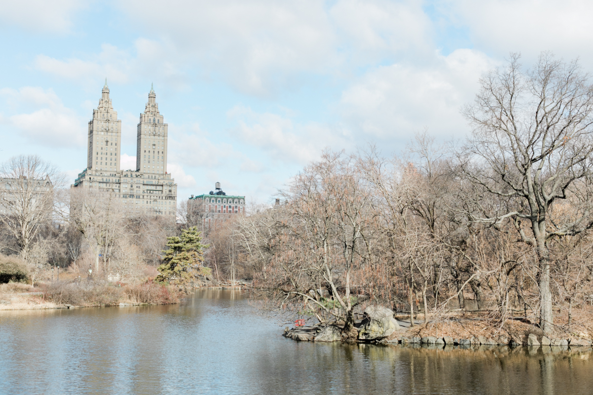 New York City Film Photographer | Central Park Engagement Session | Bethesda Fountain Photos | Bethesda Terrace Engagement Session | Dakota Building | New York Skyline