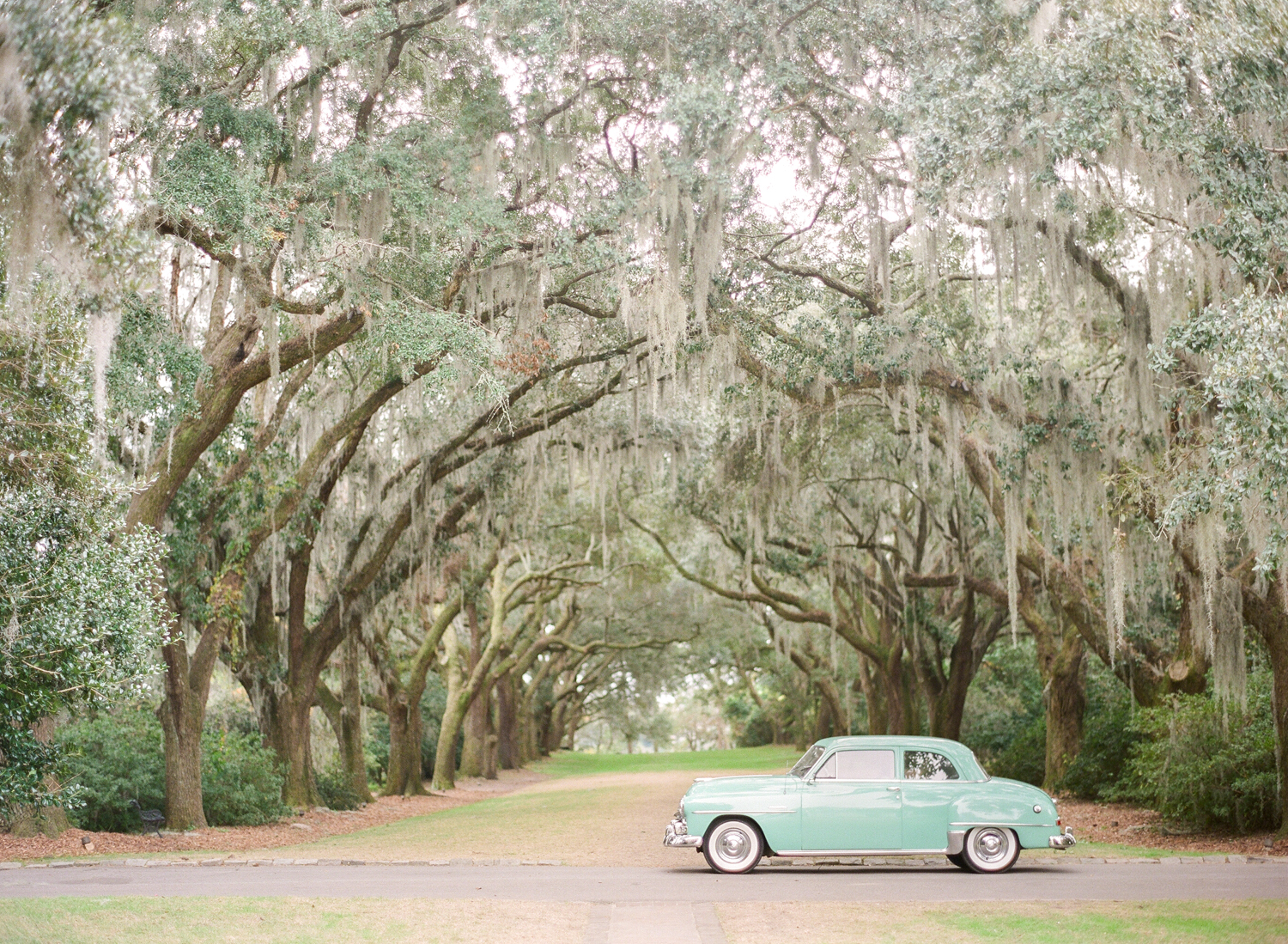 Legare Waring House Wedding Photography | Charleston Wedding Photographer | Charleston Film Photographer | Molly Carr Photography | The Petal Report | Vintage Wedding Getaway Car | Vintage Green Plymouth | Moss Covered Oak Trees