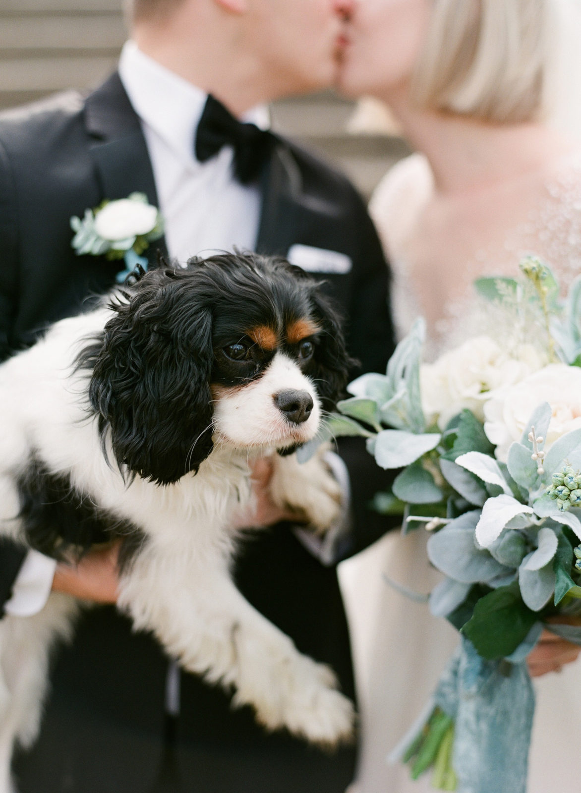 Laurel Hall Wedding Photographer | Estate Wedding Venue | Midwest Film Photographer | Molly Carr Photography | Bride and Groom Photos with Dog King Charles Cavalier Spaniel