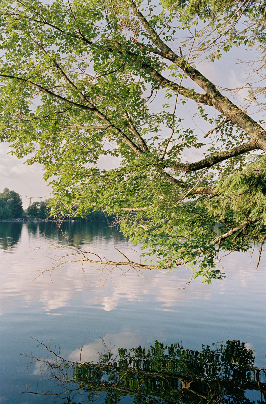 Molly Carr Photography | American Summer Film Photography at Lake House