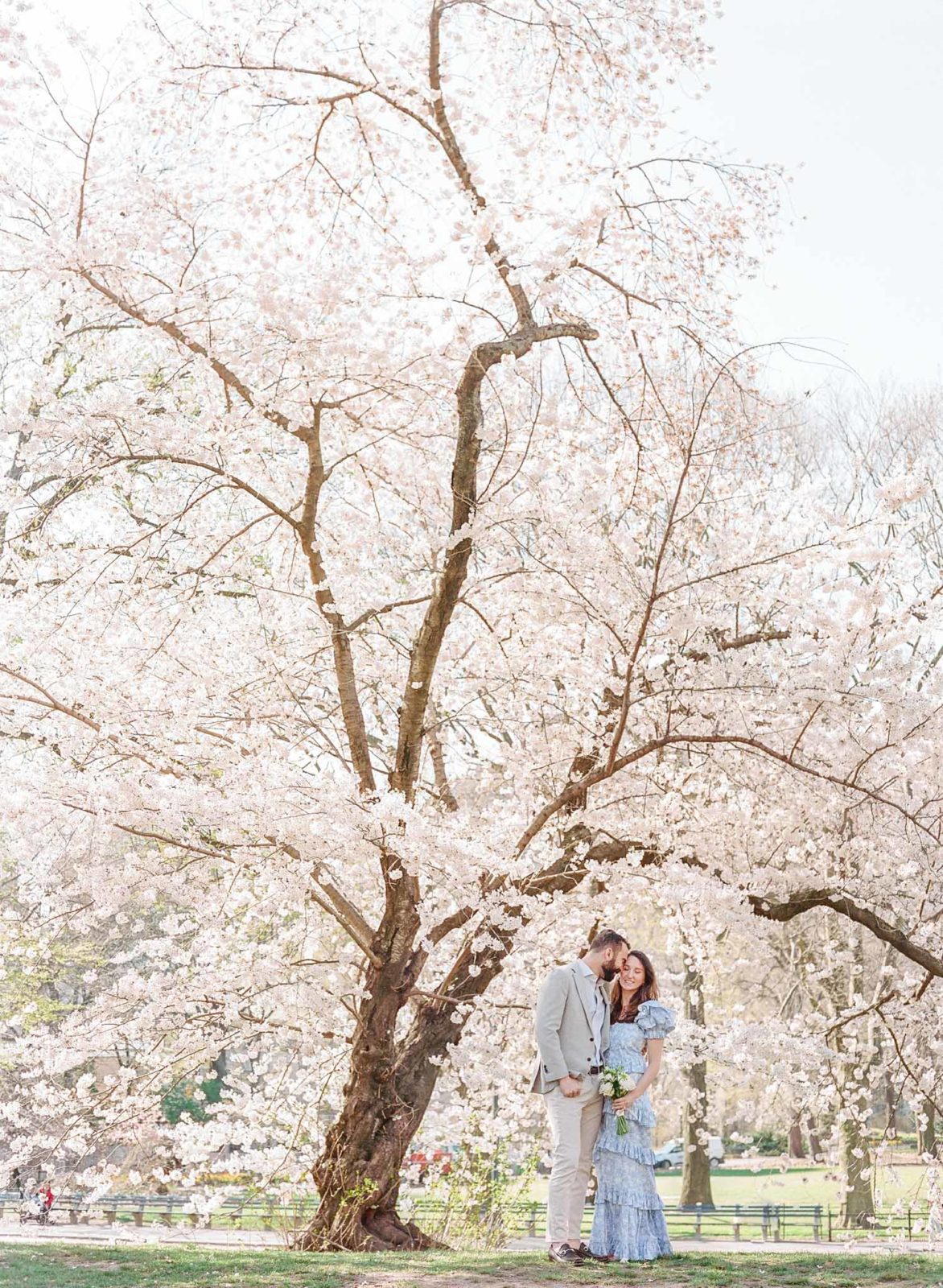 New-York-Film-Photographer-NYC-Luxury-Wedding-Photos-Spring-Engagement-Session-Molly-Carr-Photography-Central-Park-Cherry-Blossoms