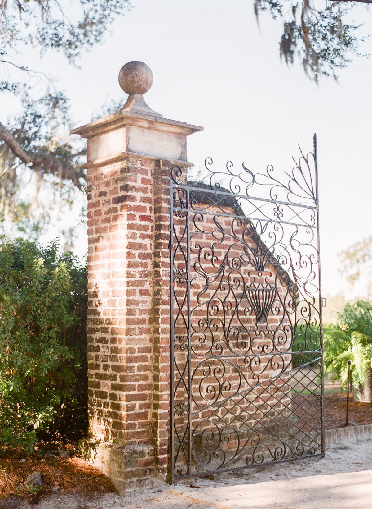 Boone Hall wedding photographer | Charleston, South Carolina | Historic iron gate | Charleston plantation