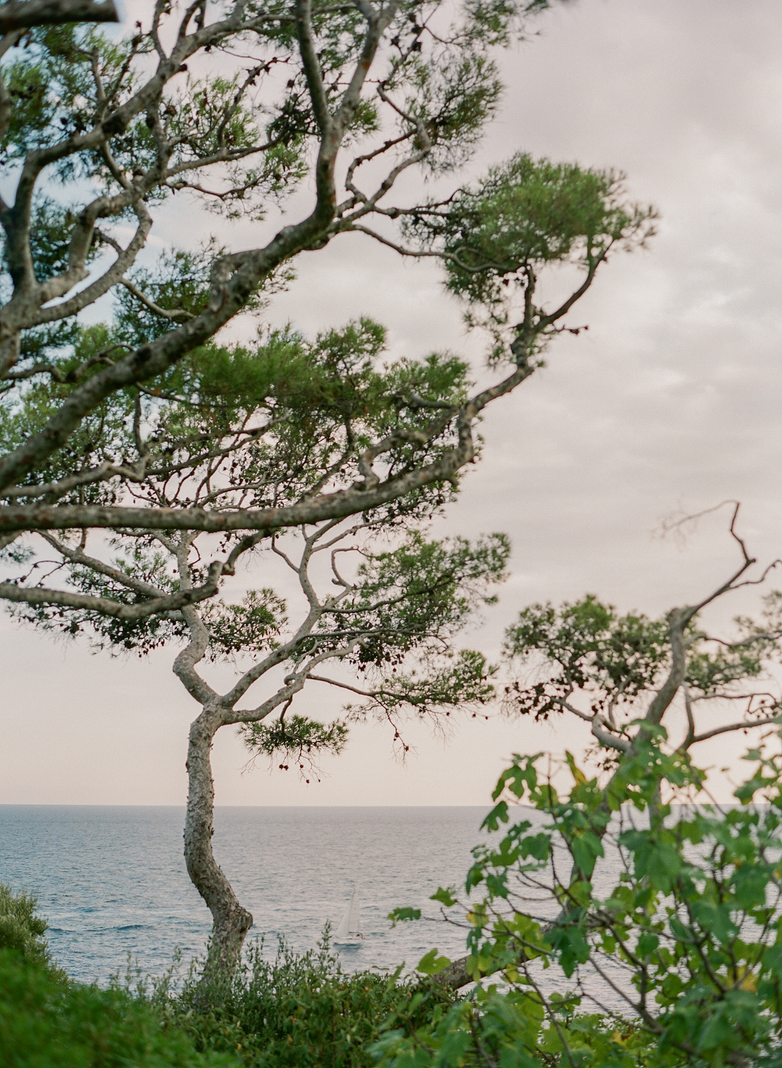 Grand Hotel Du Cap Ferrat Wedding Photographer Saint Jean Cap