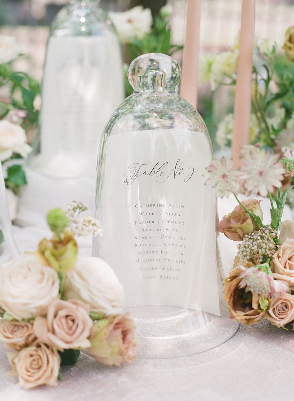Elegant Microwedding Inspiration by Molly Carr Photography | Escort Card Display Glass Cloches