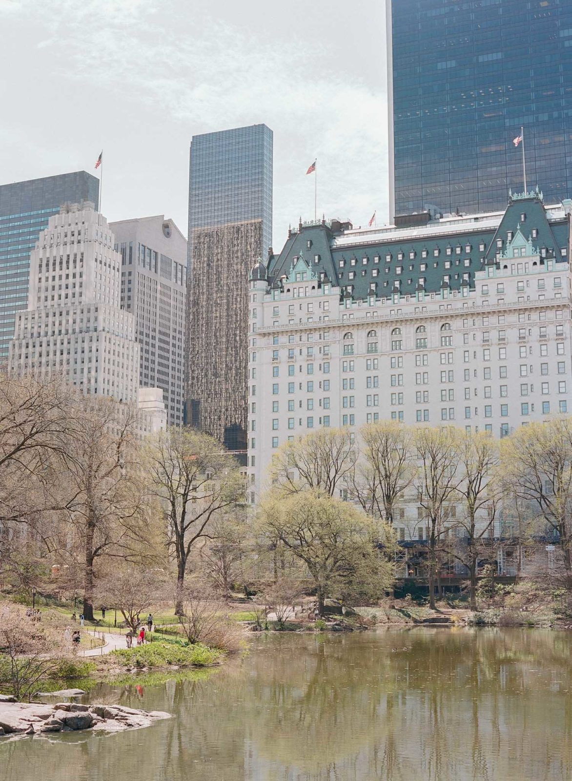 New-York-Film-Photographer-NYC-Luxury-Wedding-Photos-Spring-Engagement-Session-Molly-Carr-Photography-Central-Park-Plaza-Hotel
